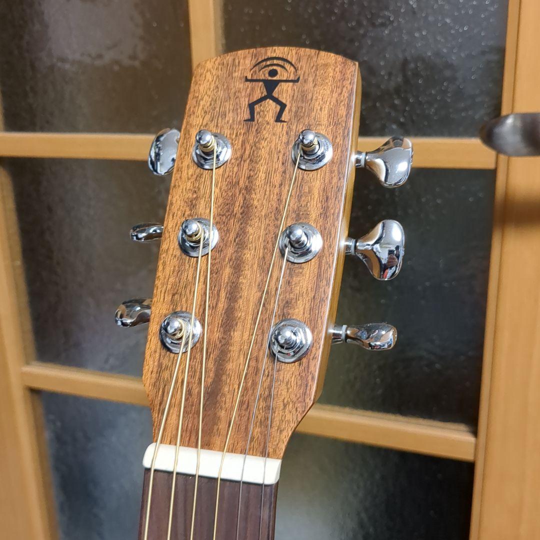 1/3まで aNueNue aNN-M20E ギター