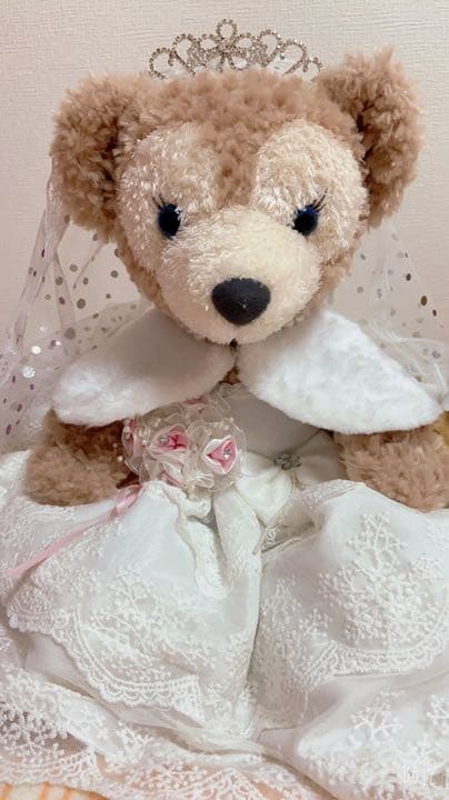 お値下げ‼️ダッフィー&シェリーメイ　ウェディングコスチューム➕ぬいぐるみ