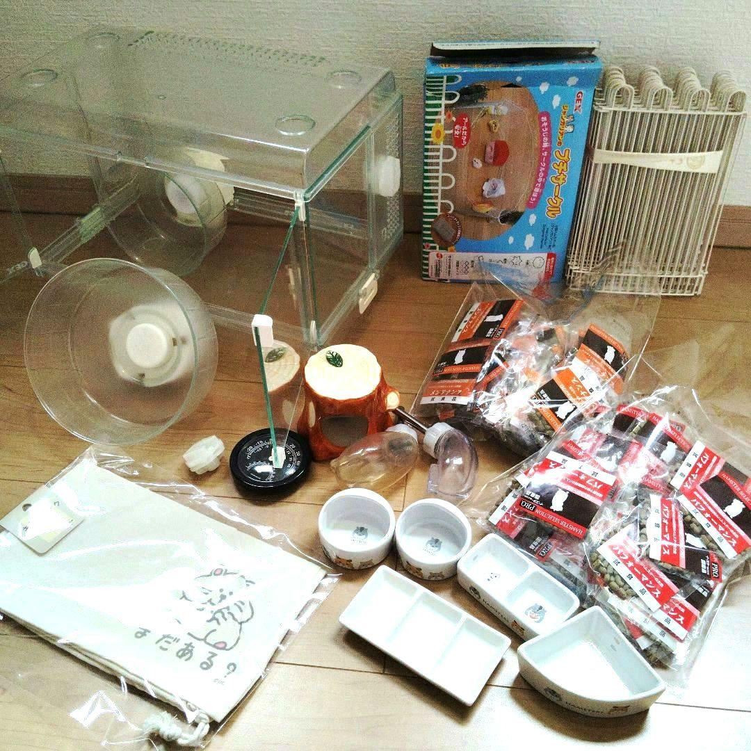 ハリネズミ ハムスター 飼育セット