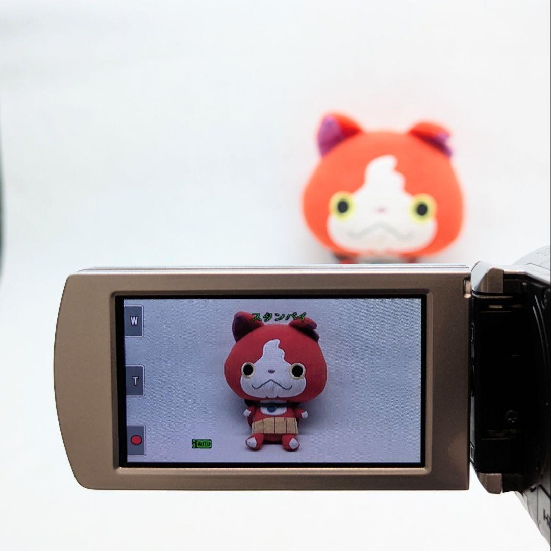 SONY HDR-CX170 ハンディカム ビデオカメラ