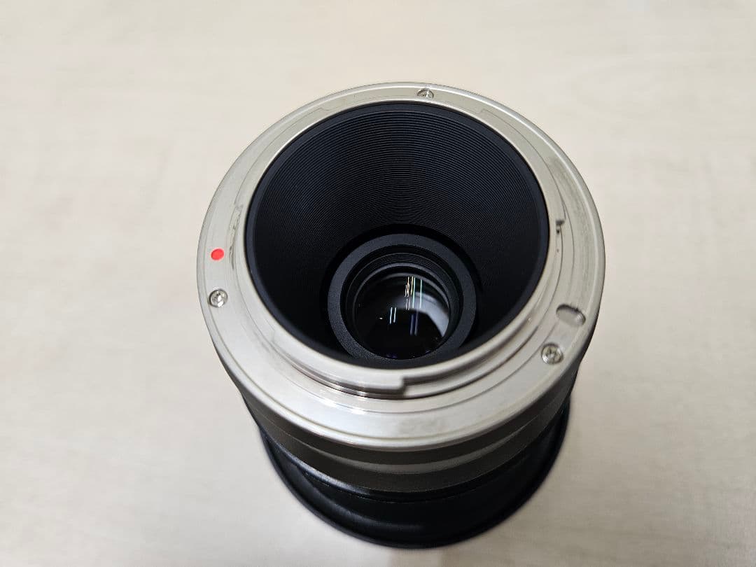 サムヤン　2.8 12mm 魚眼　Eマウント