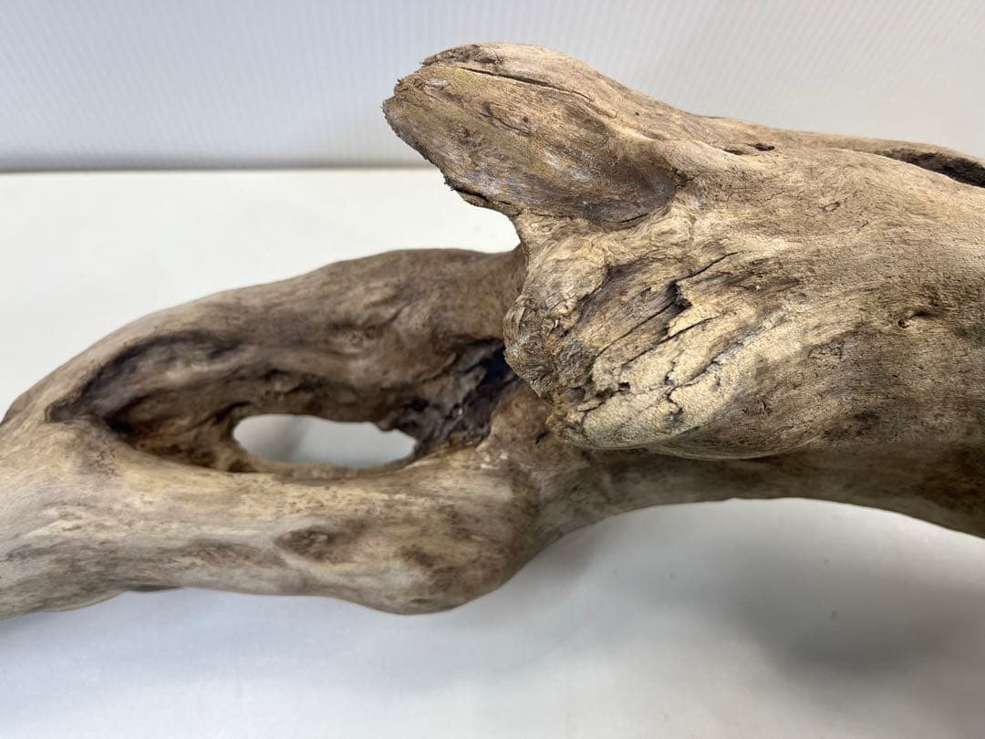 R64特大流木 アク抜き済み流木 爬虫類シェルター 登り木 インテリア 生け花