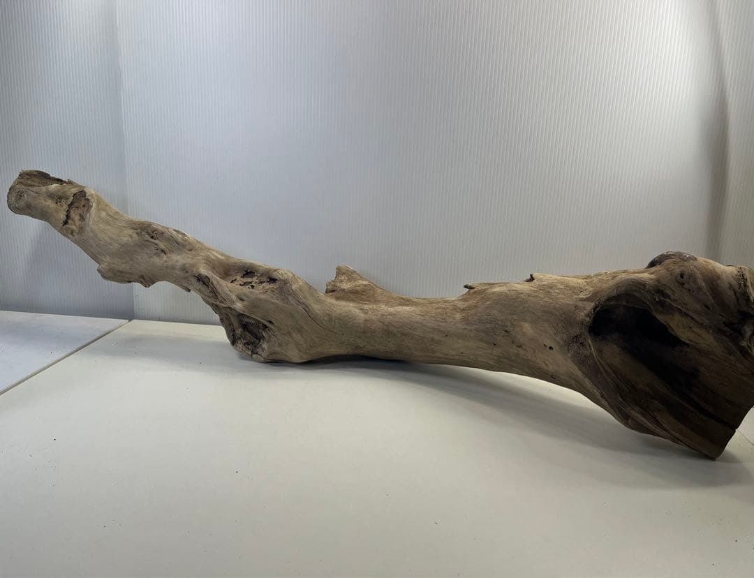 R64特大流木 アク抜き済み流木 爬虫類シェルター 登り木 インテリア 生け花