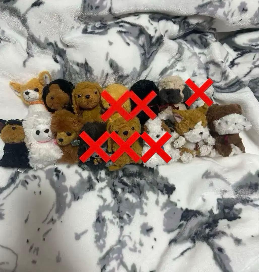 たけのこ ジョイフルメイト 犬 ぬいぐるみ