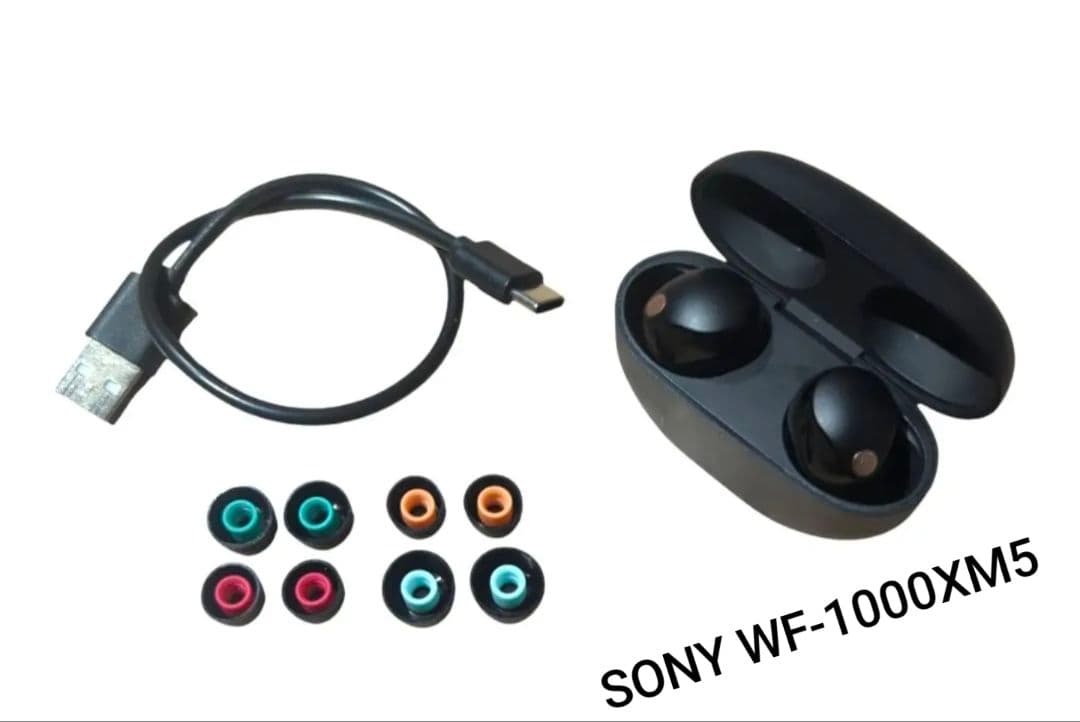 SONY ワイヤレスイヤホン ブラック 充電ケース 換えピース USBケーブル