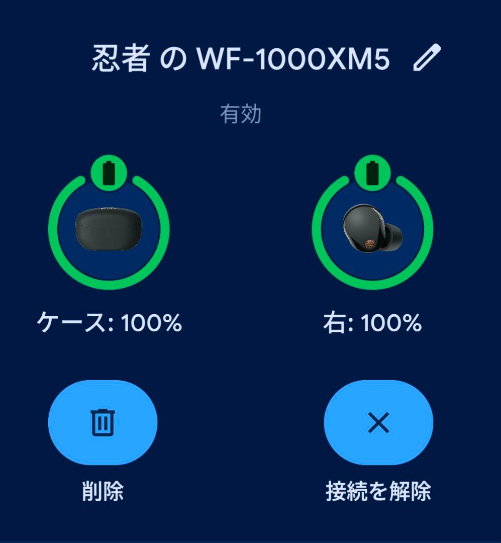 SONY ワイヤレスイヤホン ブラック 充電ケース 換えピース USBケーブル