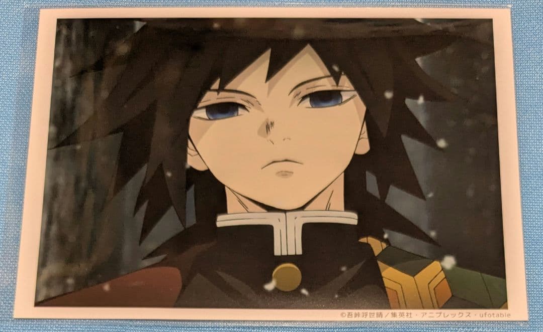 鬼滅の刃 冨岡義勇 場面写ブロマイド