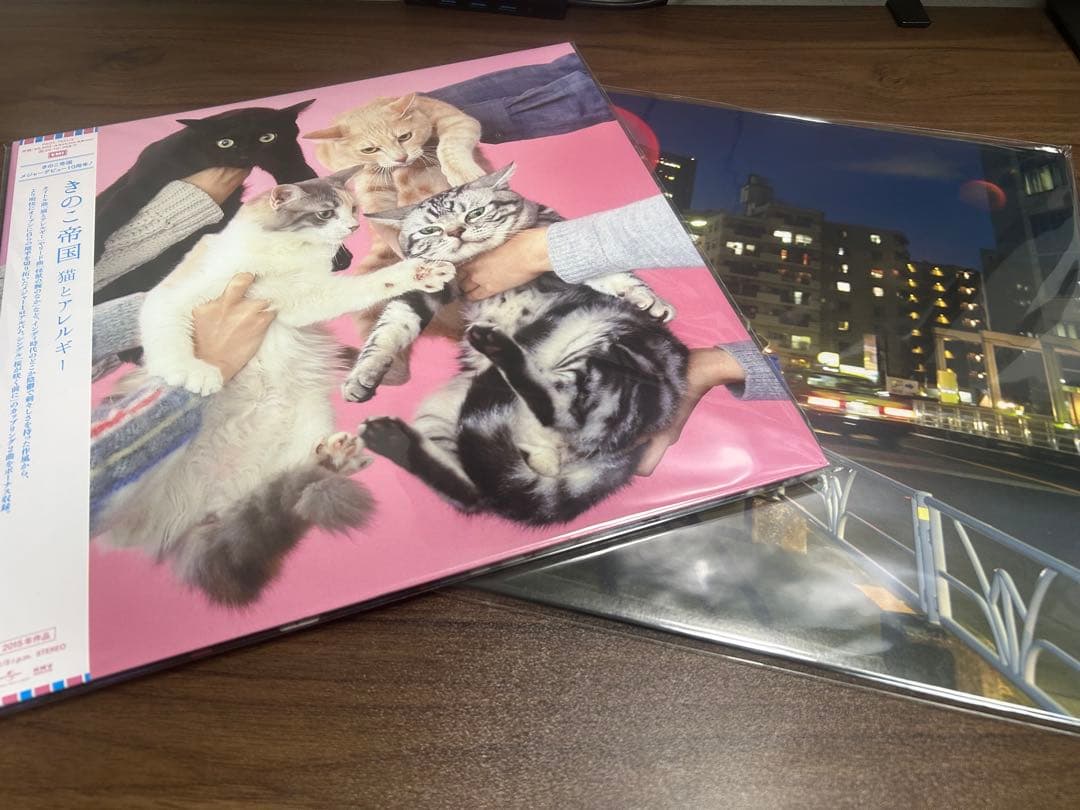 きのこ帝国　アナログ　レコード　猫とアレルギー　タイム・ラプス