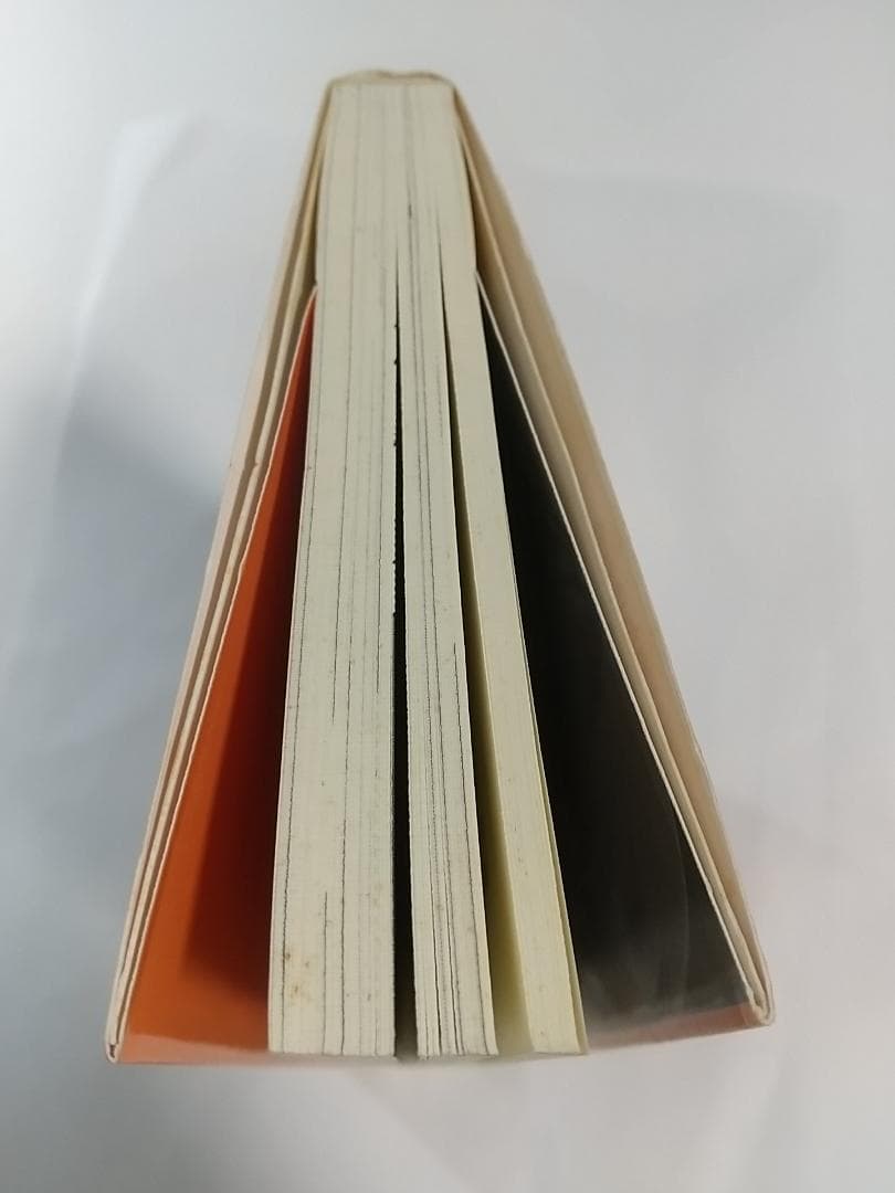 CARNIVAL 瀬戸口 廉也 (著)