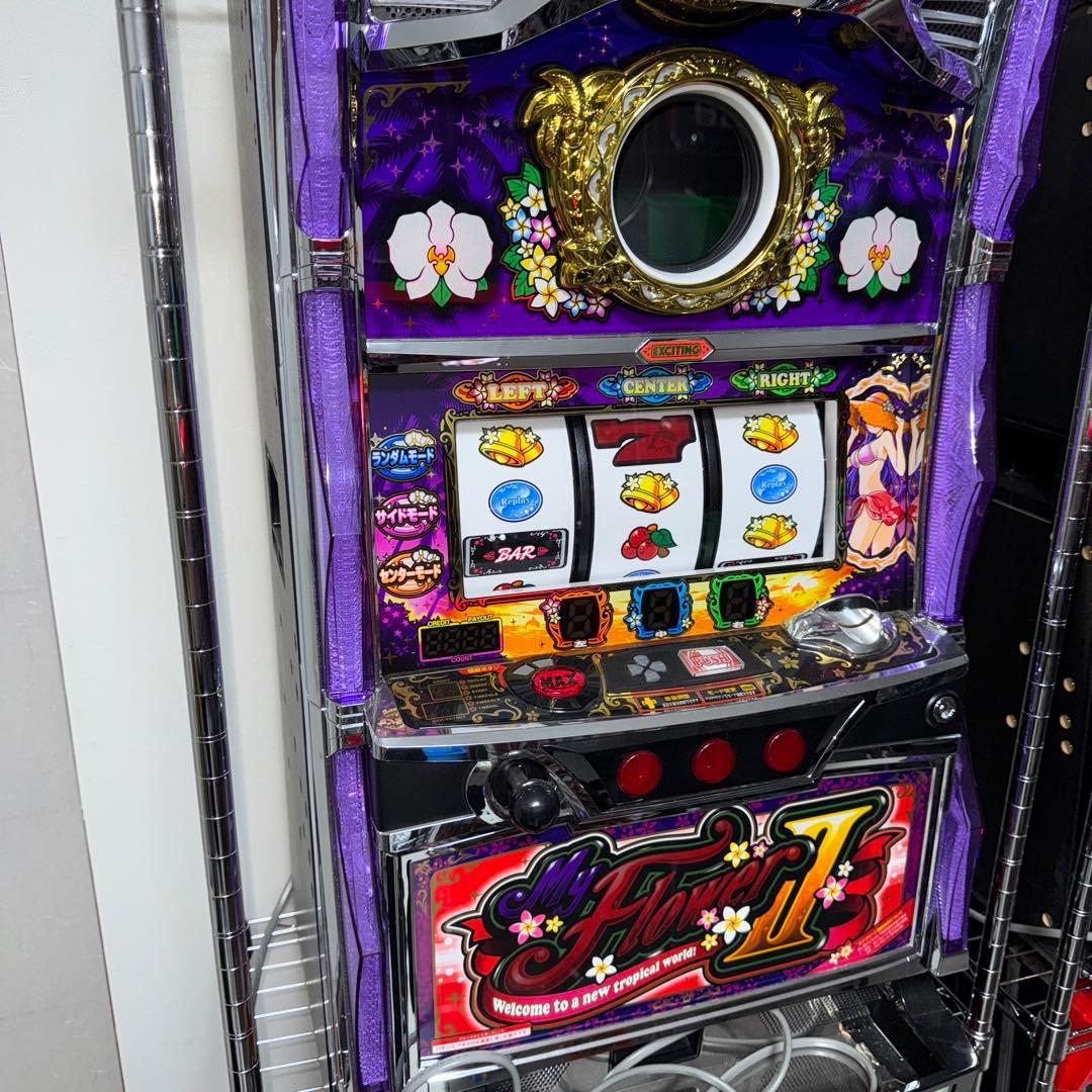 マイフラワー2(コメントで詳細出します)