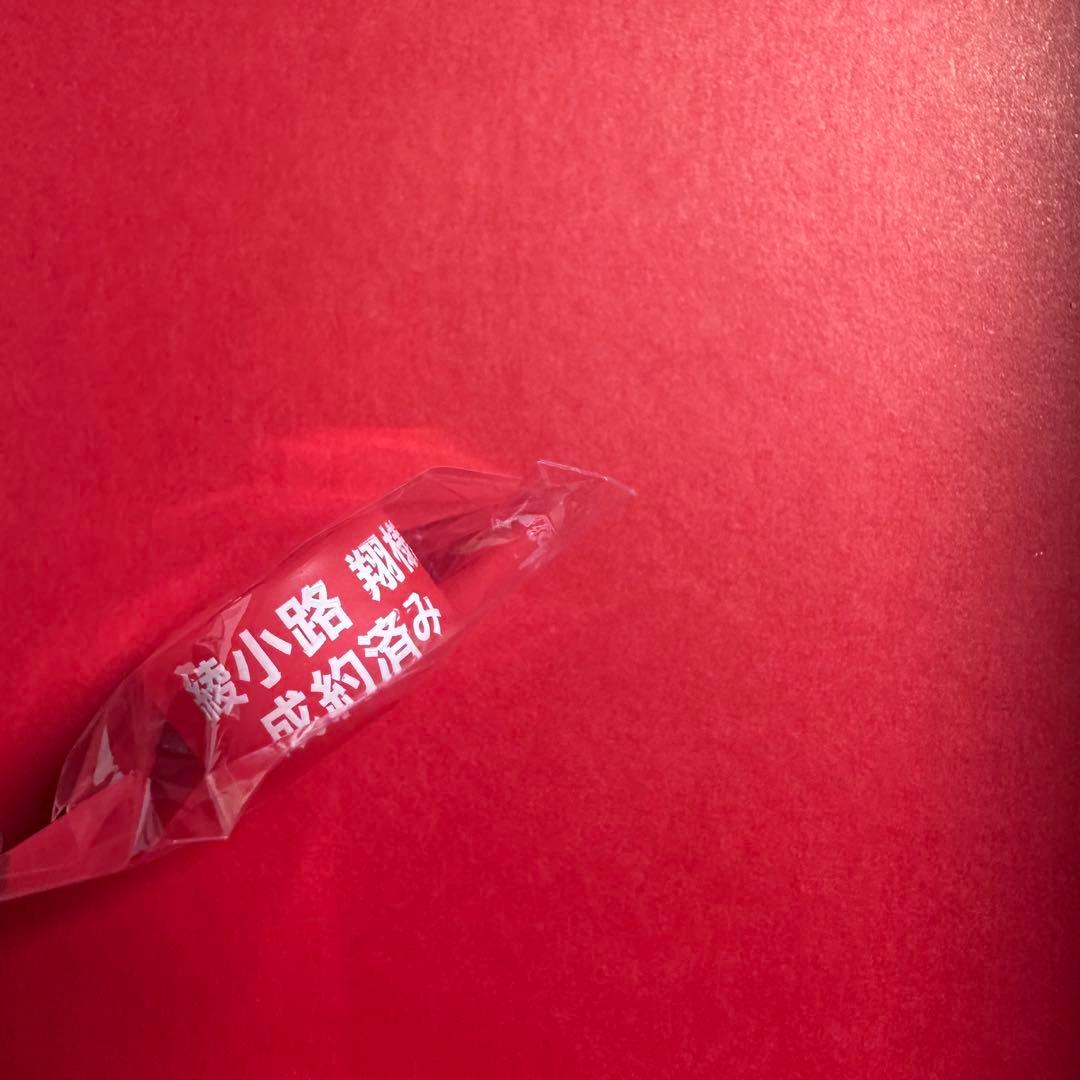 氣志團万博　ガチャ　ラバーリング（赤）