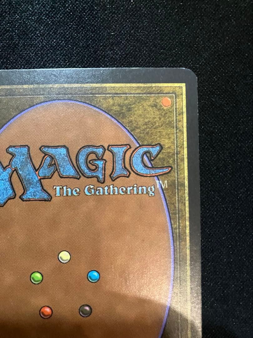 MTG Bayou デュアルランド