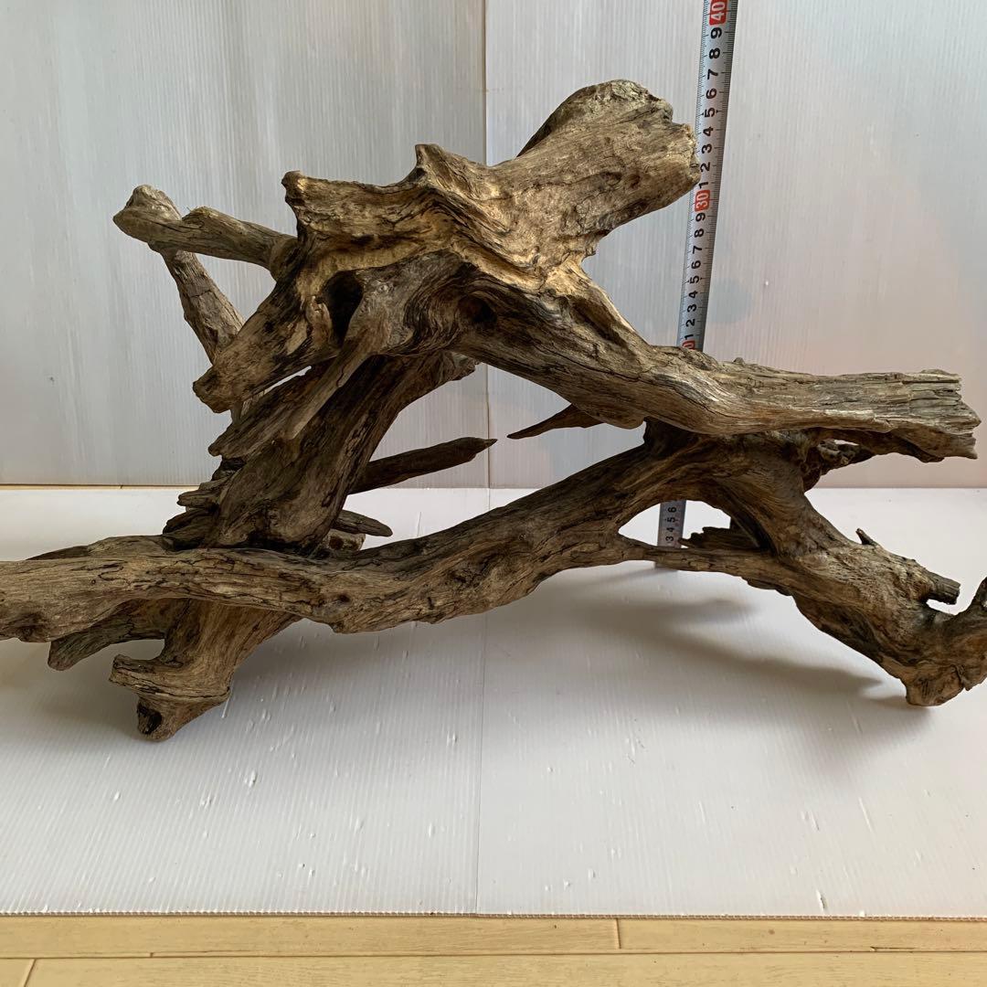 銀*時様 アク抜き済み流木　No.10 超レア型　沈水確認済