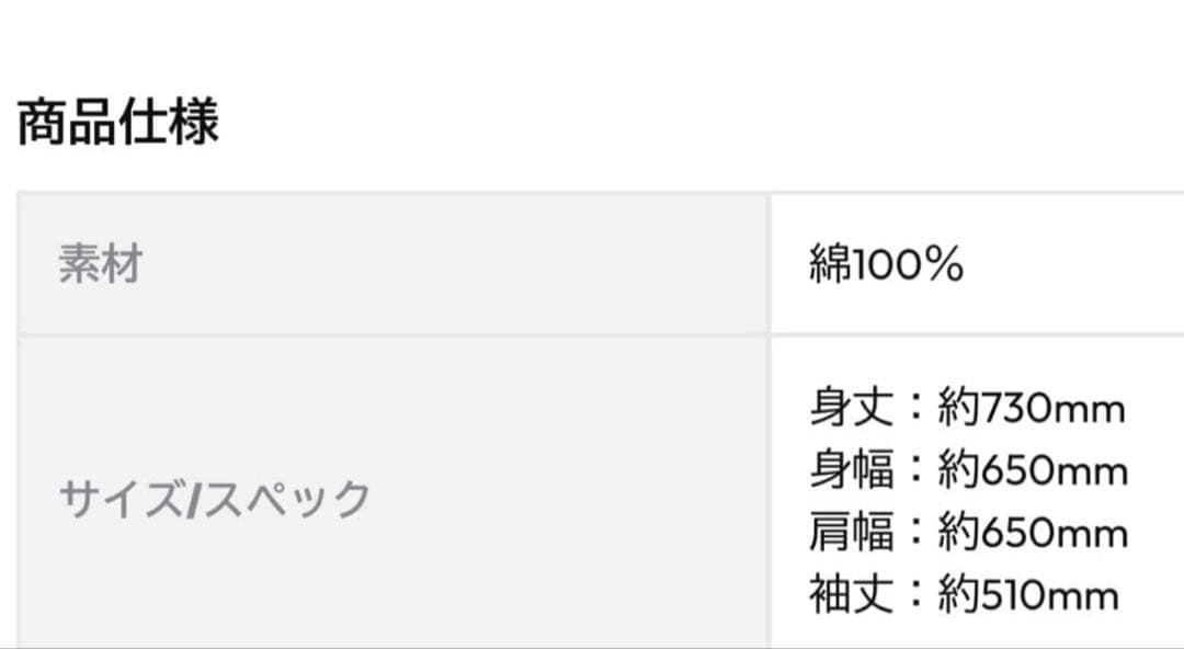 山田涼介　LEO ビッグパーカー バックプリント　Ｌサイズ　ジップパーカー