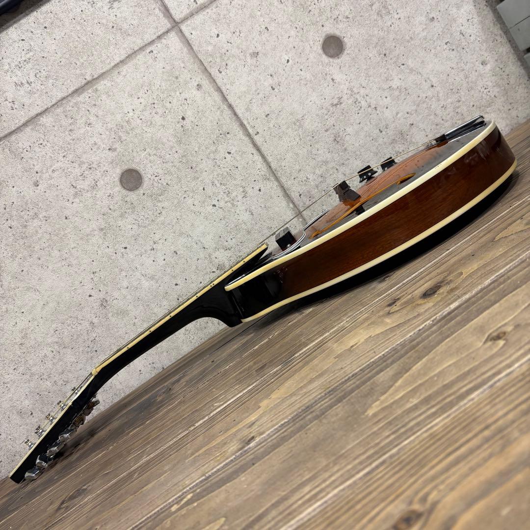 エレキマンドリン Aria AM-20E ピックアップ搭載 ケース2個付き