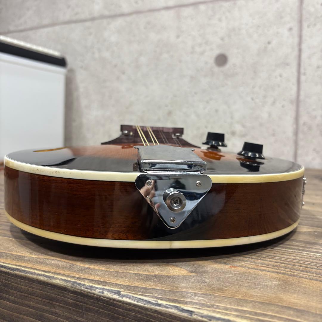 エレキマンドリン Aria AM-20E ピックアップ搭載 ケース2個付き