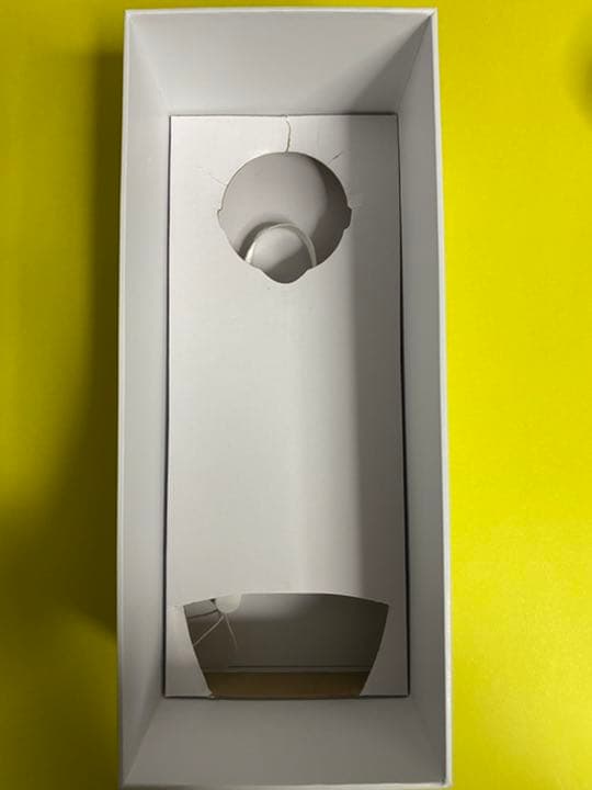 IU ペンライト 2018年 2.0 ライトスティック アイク 公式 アイユー