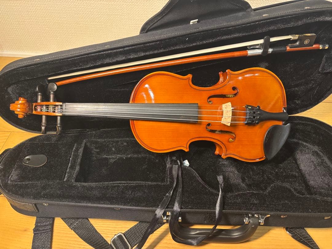 Carlo Giordano カルロジョルダーノ1/8 バイオリン VS-1
