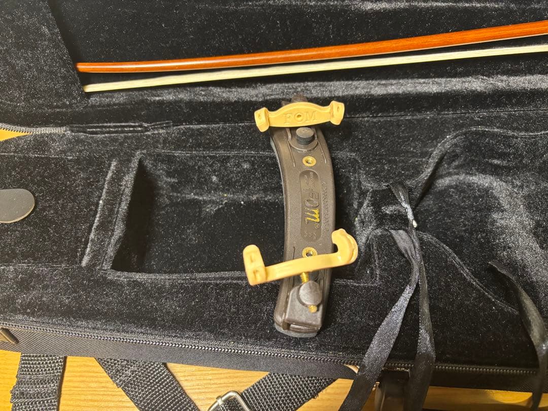 Carlo Giordano カルロジョルダーノ1/8 バイオリン VS-1