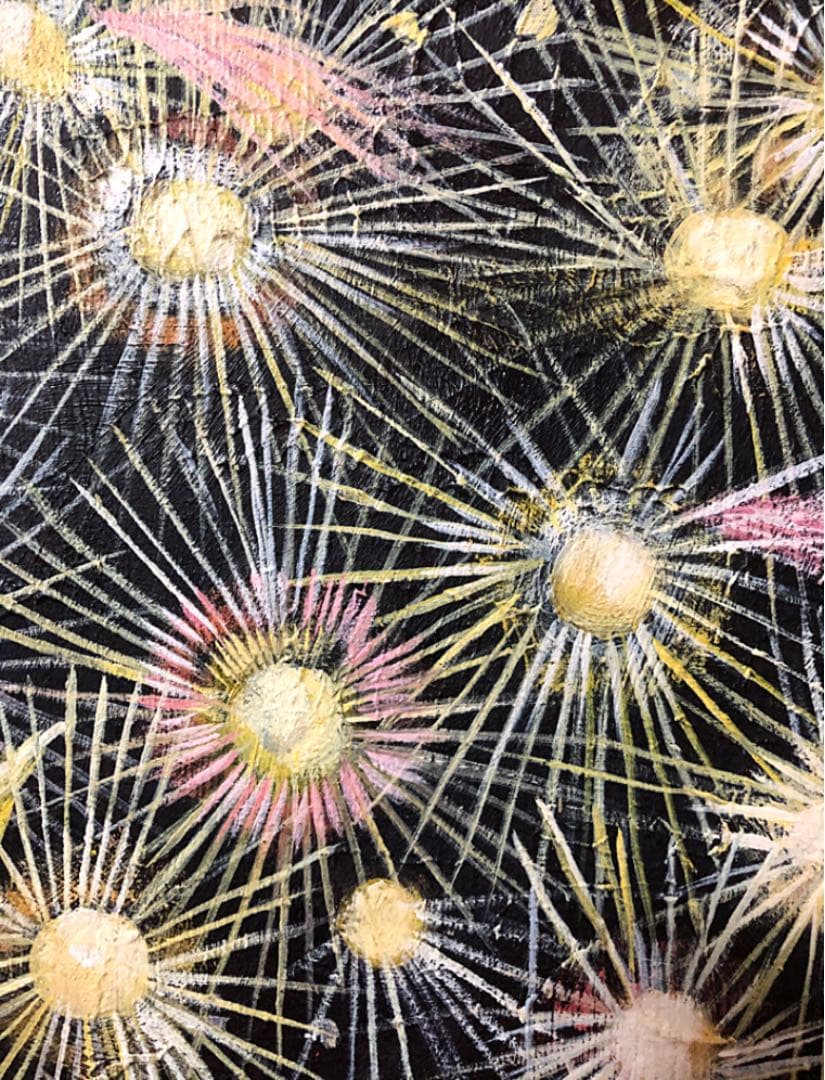 絵画 額装 花火 油彩画 F6 キャンパス 模写