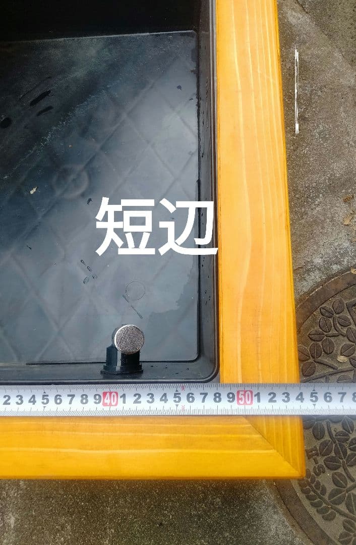 水換えの要らないトロ舟40 ビオトープ