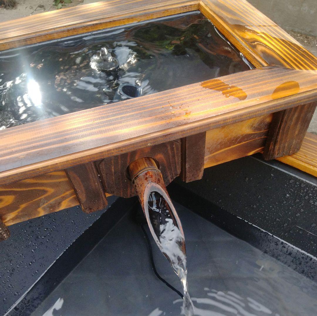 水換えの要らないトロ舟40 ビオトープ