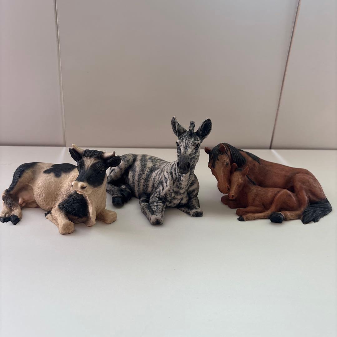 Castagna カスターニャ　20体