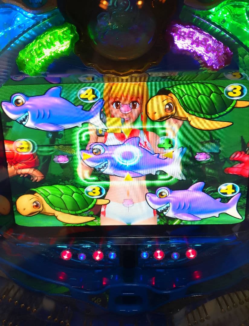 CR大海物語スペシャルMTE(1/349) パチンコ実機 裏玉循環 全自動付き