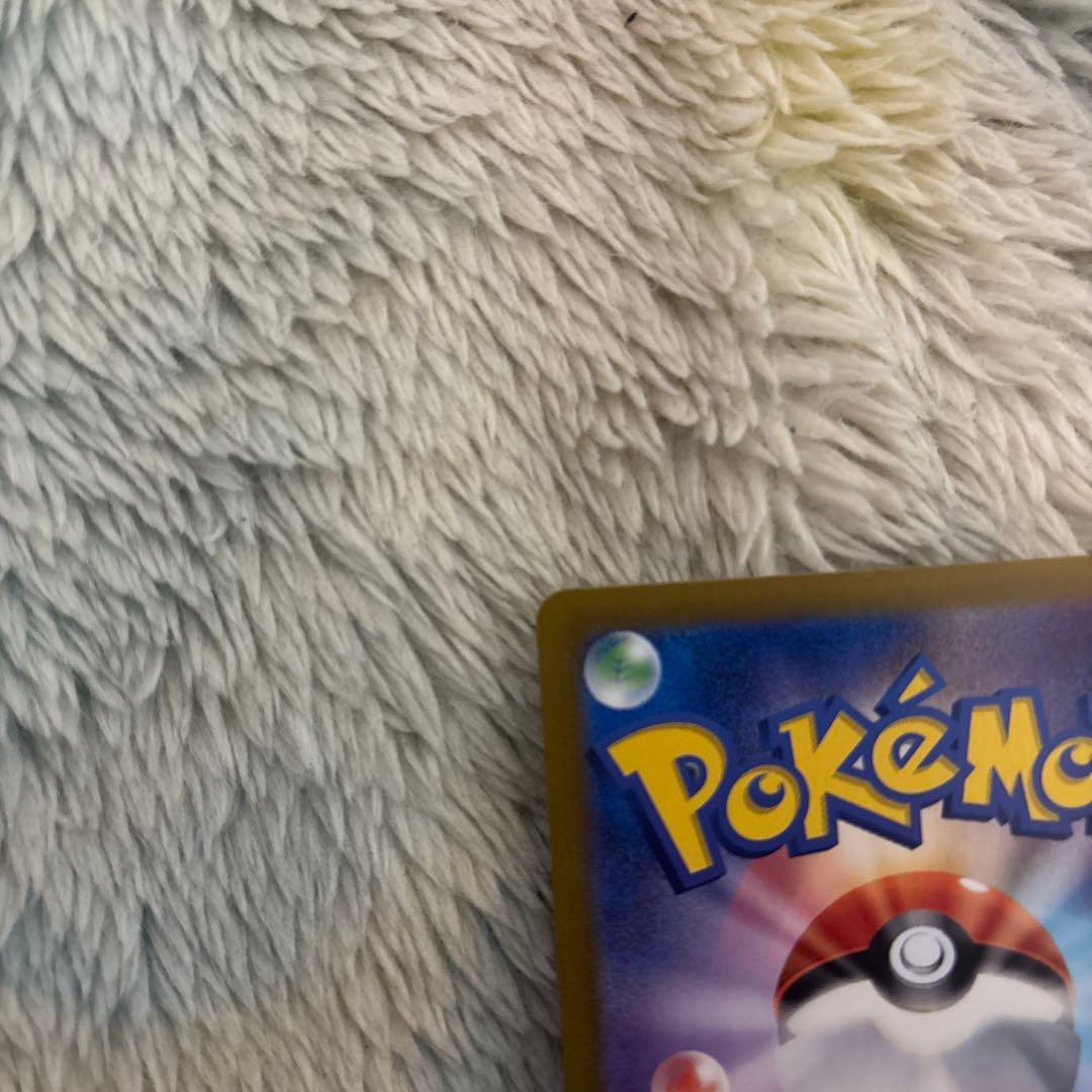 ブイズ　sar 　セット