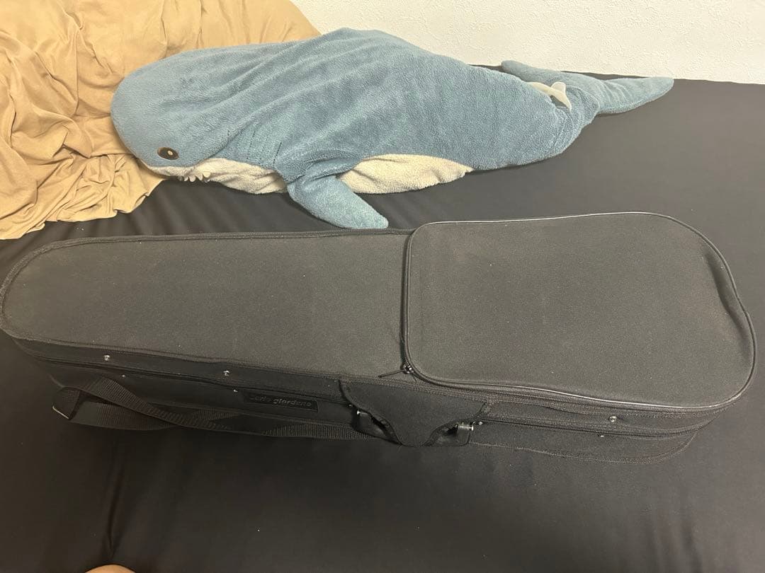 カルロジョルダーノ エレキバイオリン ブルー