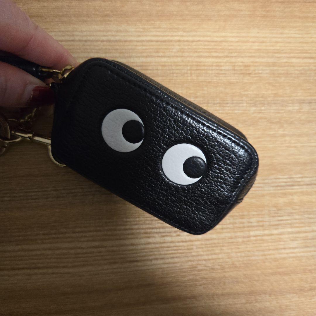 アニヤ・ハインドマーチ アイズ ケース