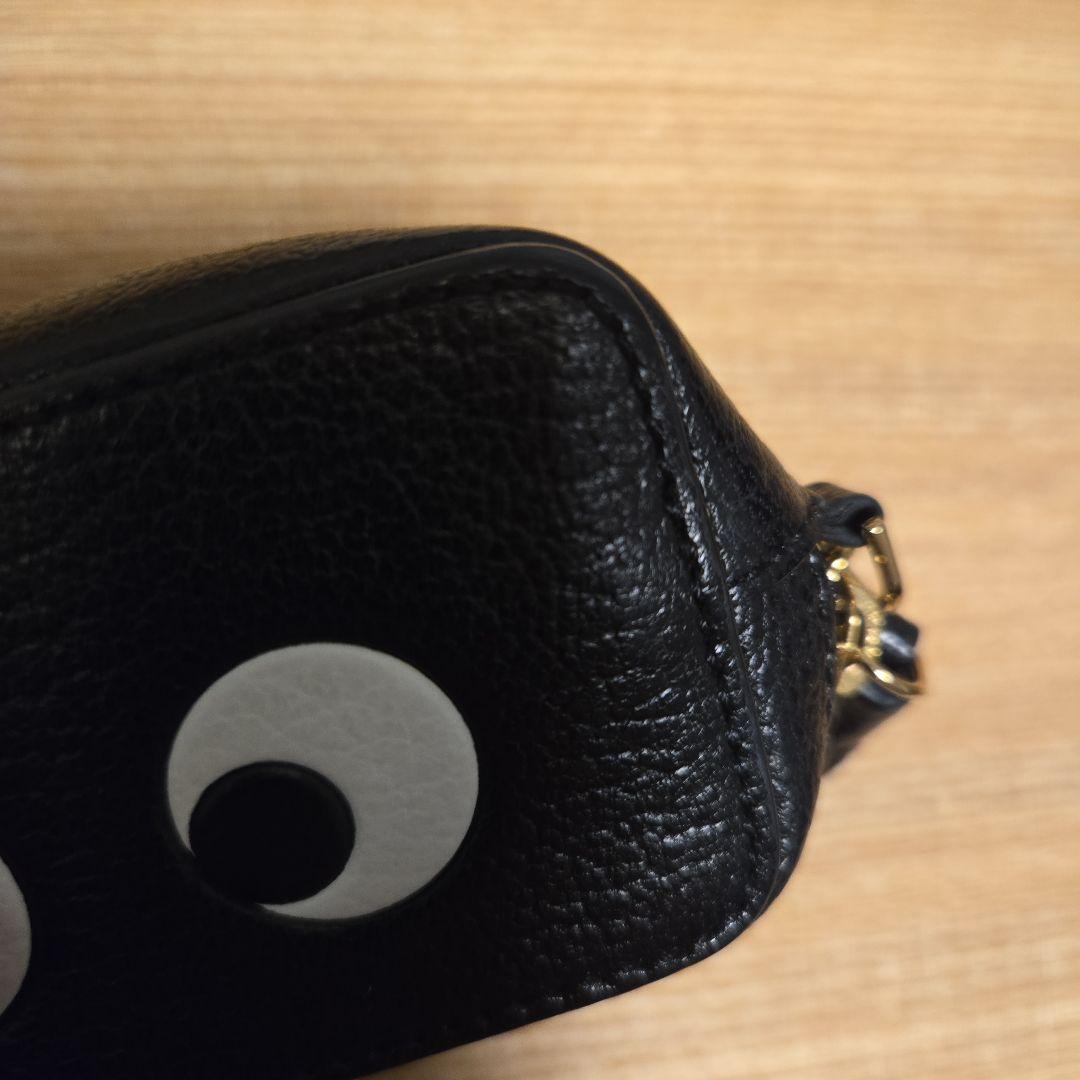 アニヤ・ハインドマーチ アイズ ケース