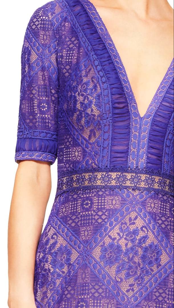 ※てんとう虫【TADASHI SHOJI】紫　レース　ロングドレス