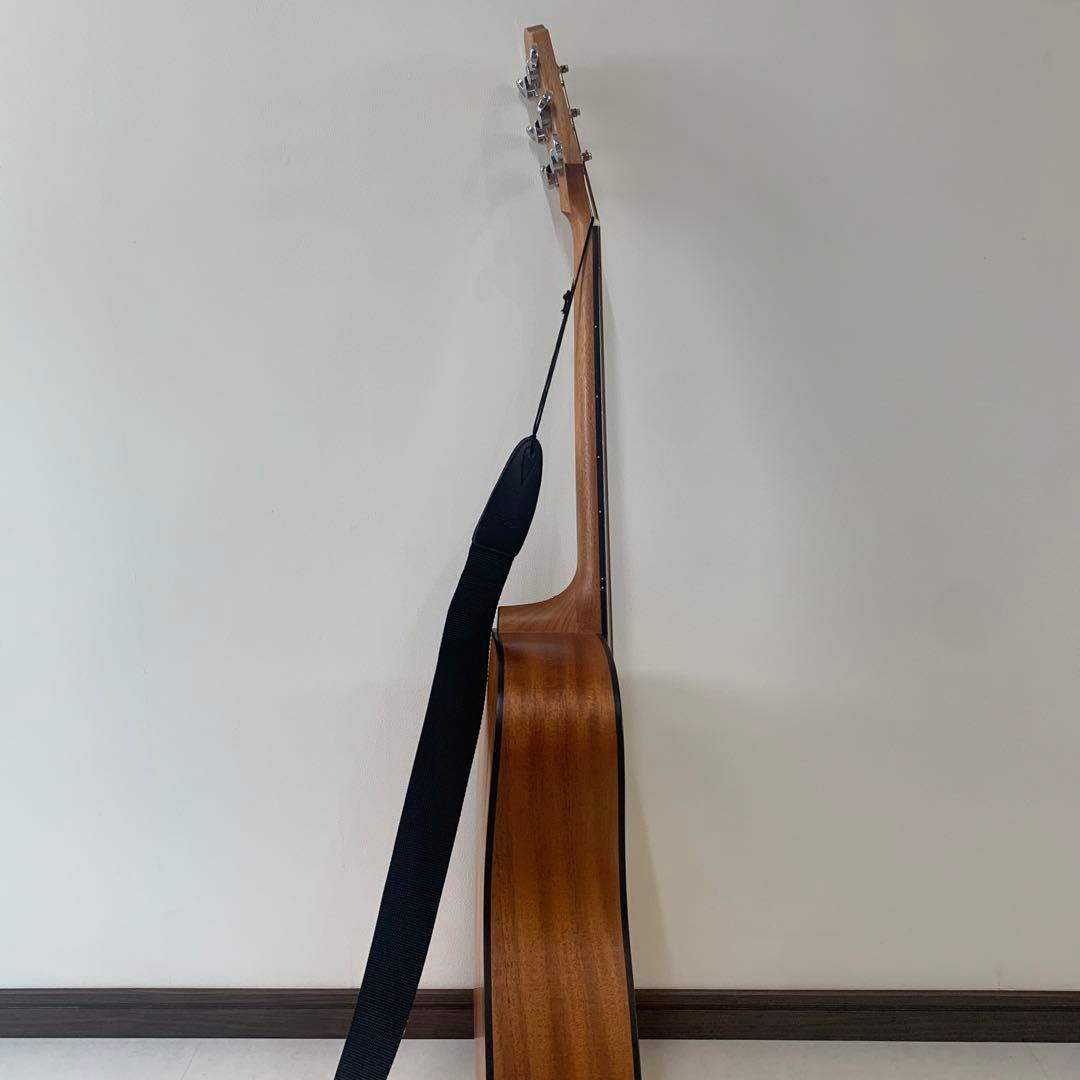 Elvis 「Master 1」アコースティックギター エルビス