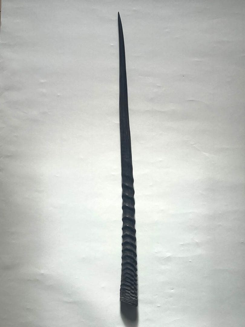 希少② オリックスホーン　鹿の角　検索）一角獣　オウムガイ