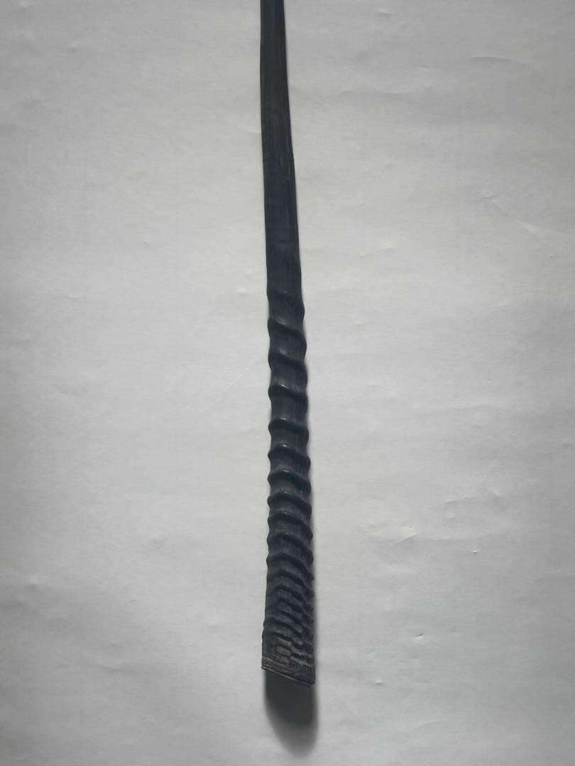 希少② オリックスホーン　鹿の角　検索）一角獣　オウムガイ