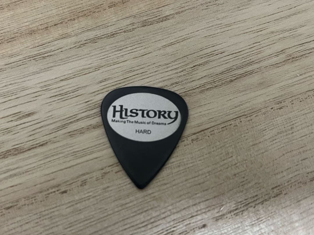 Lumber アコースティックギターとケース