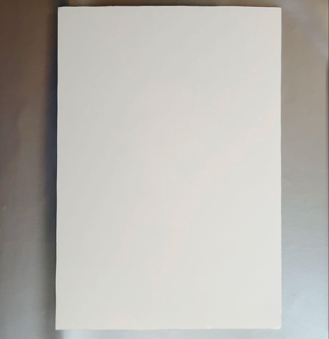 松本孝弘写真パネル・TMG\"Dodge The Bullet\"ツアーパンフレット