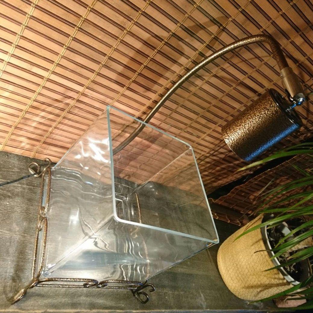 熱帯魚水槽 レガーロ ブロンズ