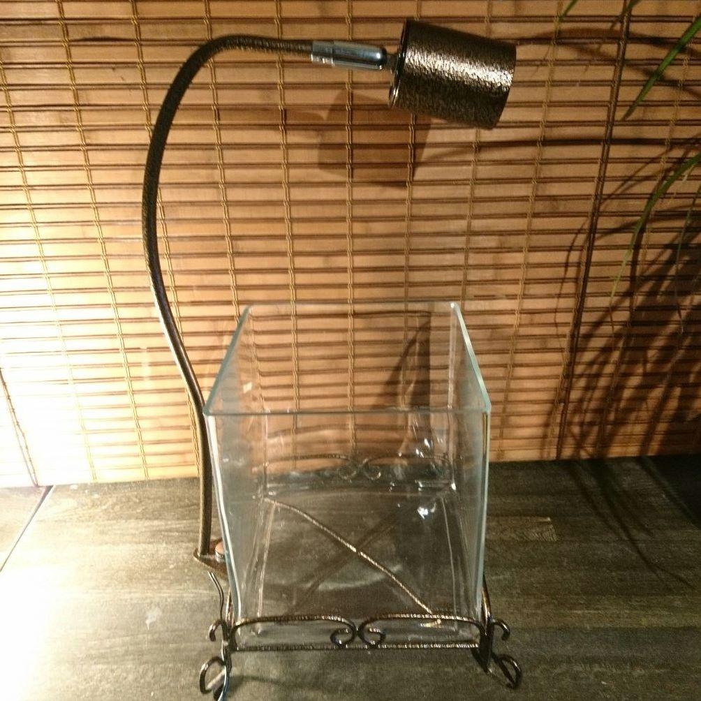 熱帯魚水槽 レガーロ ブロンズ