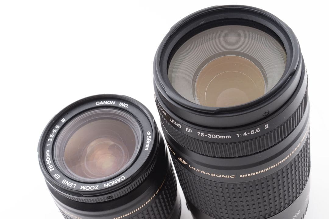 Canon EOS 5D Mark III 標準&望遠ダブルレンズセット