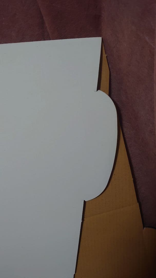 ✨美品✨蛯原友里 水着 等身大パネル 　 ANESSA アネッサ 青