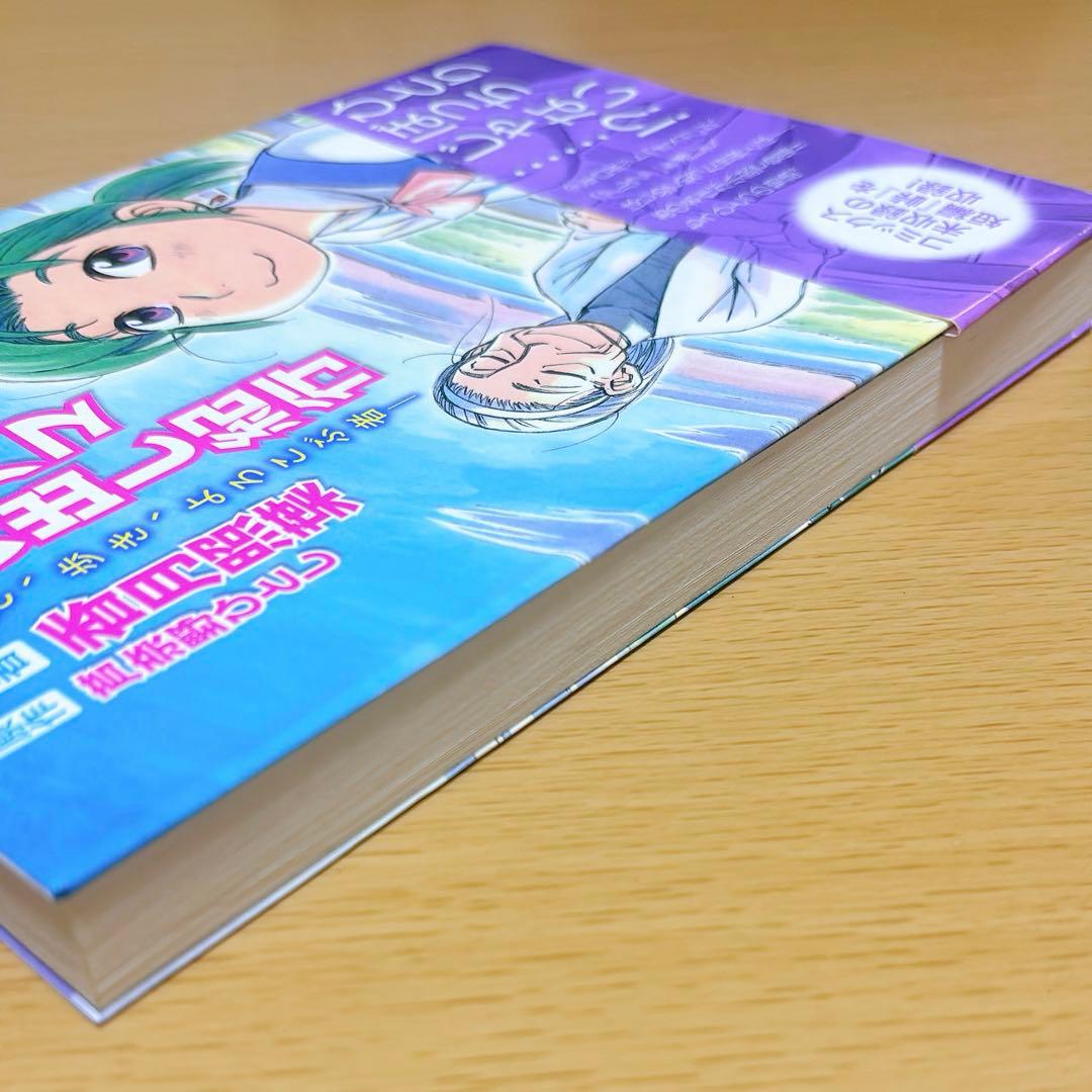 小説 ヨコハマ買い出し紀行 見て、歩き、よろこぶ者