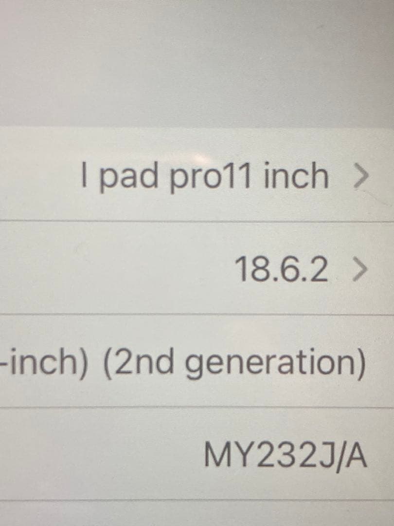 Apple iPad Pro 11icn 第2世代スペースグレー 本体