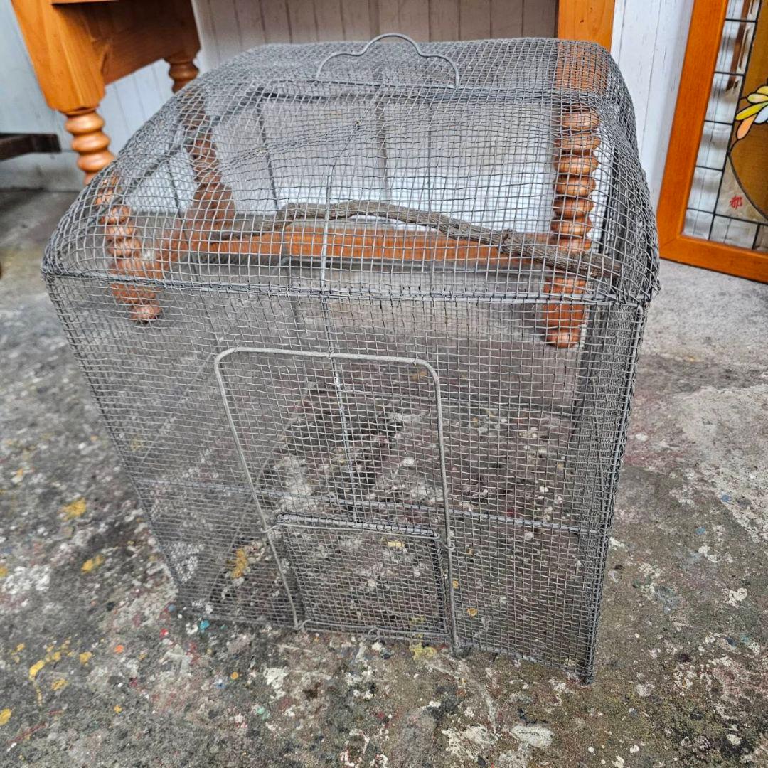 【p170/i9】大型 金属製 鳥かご ガーデニングにも 虫かご