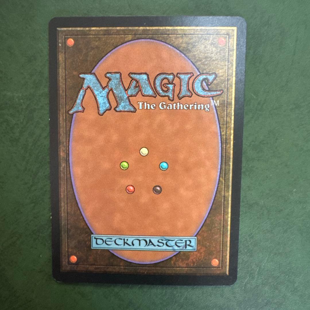 ハタハタさん専用MTG 直観 《日本語》2枚