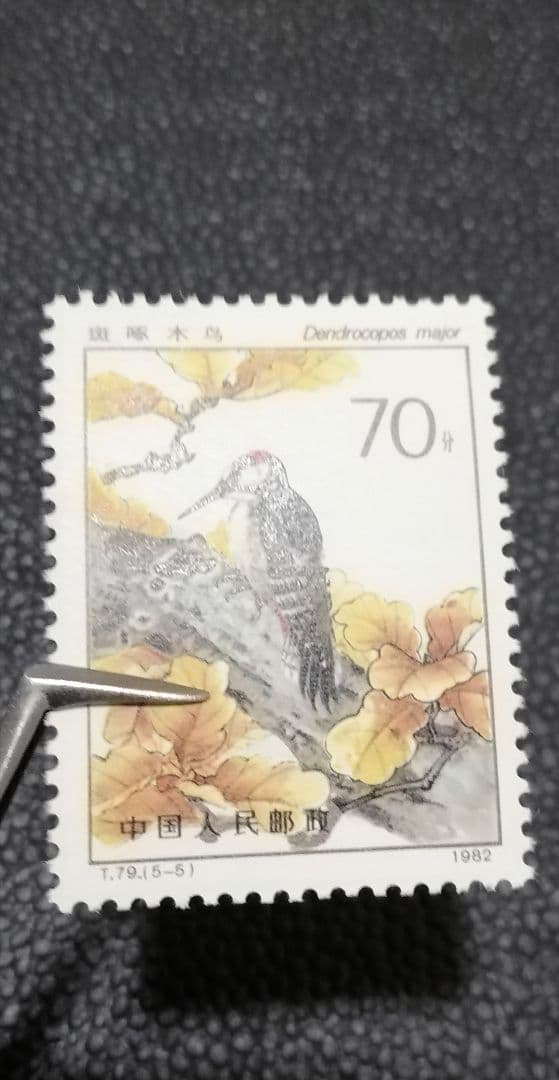 中国切手　T79益鳥　小型シート　１種完　タトウ付き&５種完