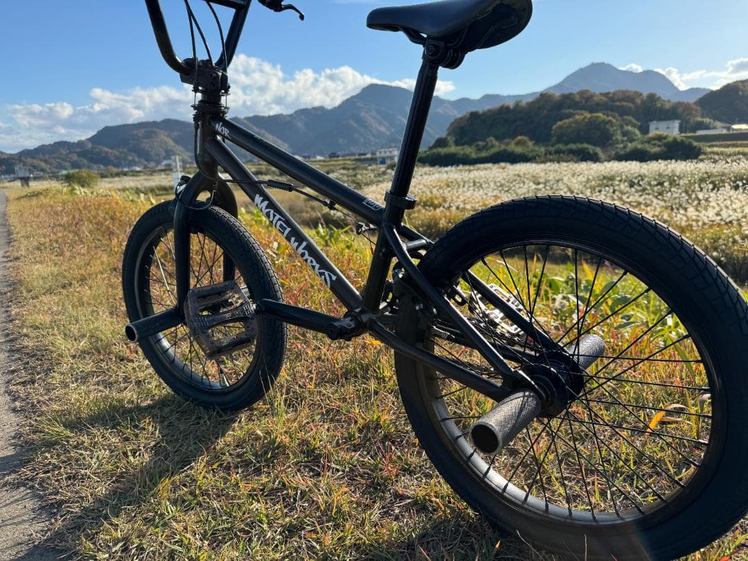 【bakabon】BMX MOTELWORKS NOR・ AUX　2台