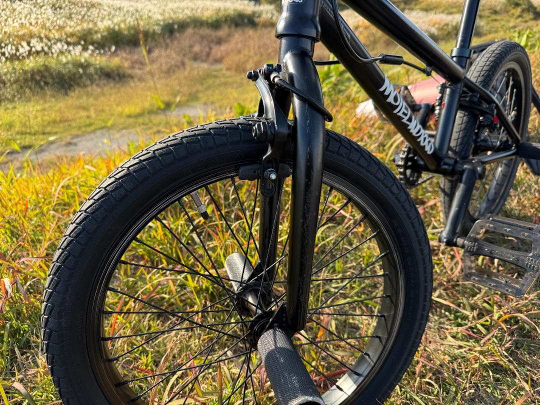 【bakabon】BMX MOTELWORKS NOR・ AUX　2台