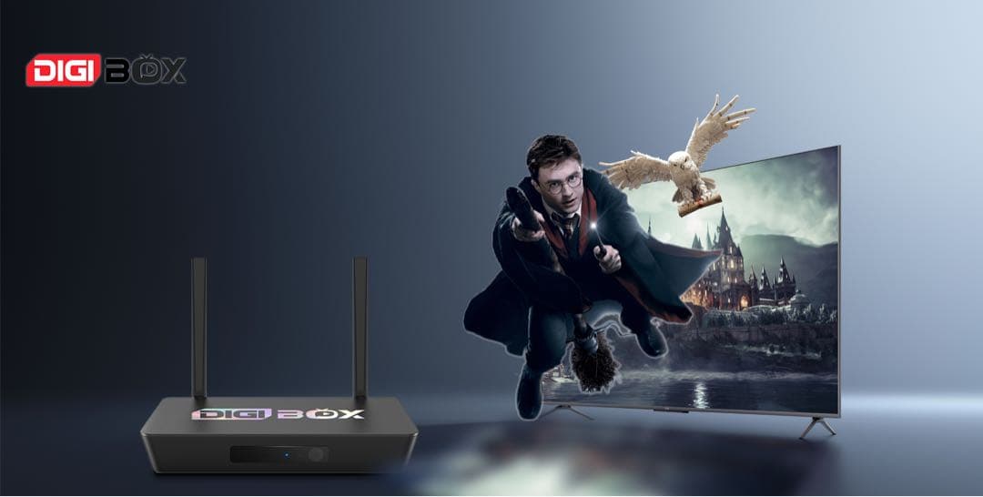 最も人気あるテレビボックス DIGIBOX D3 PLUSライブテレビボックス